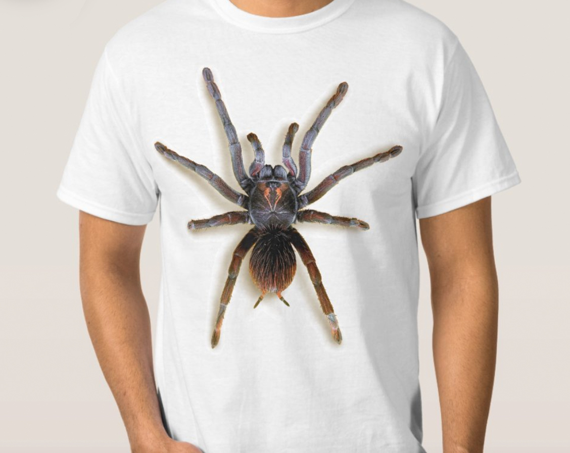 Tarantulas